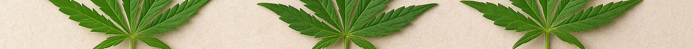Sativa, Indica, and Hybrid Strains: Choosing the Right Type for Your Desired Effects