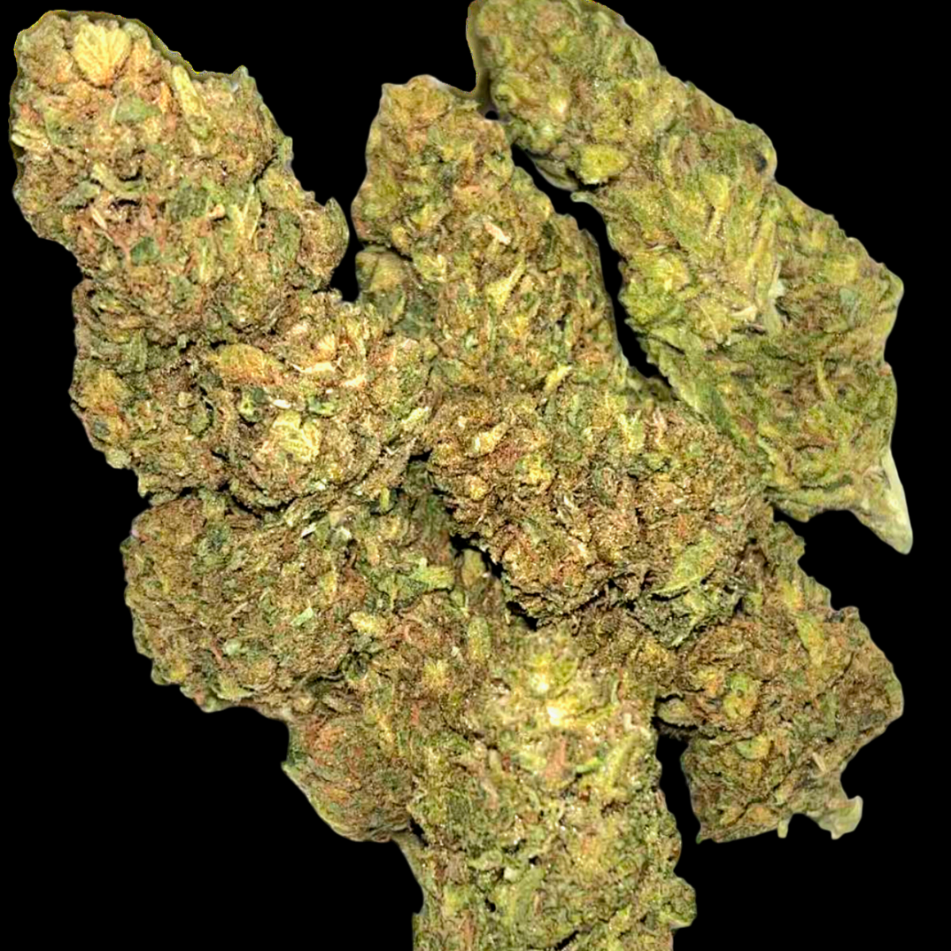 Gary Payton 24% Thca