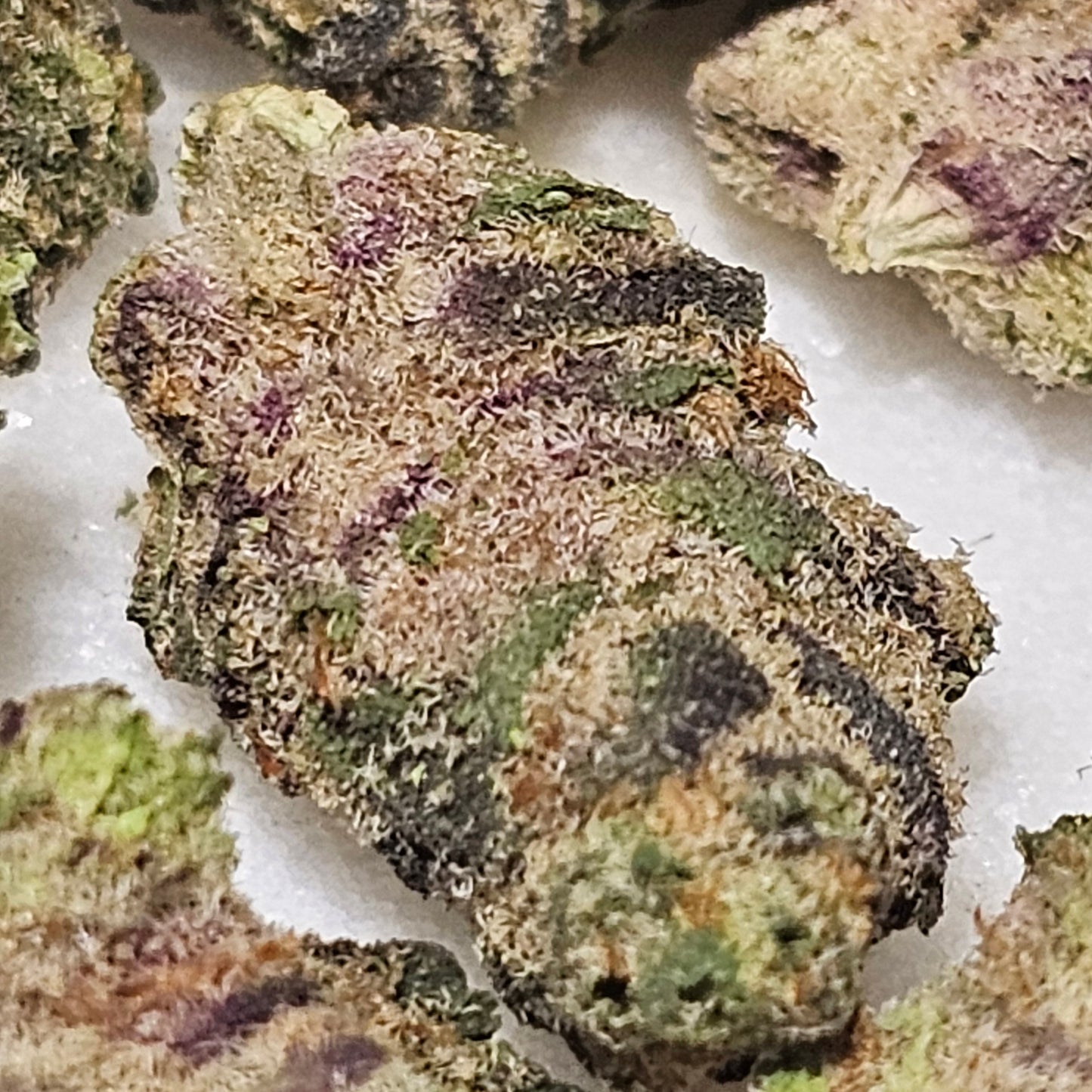 Peanut Butter Milkshake 34% THCa SMALLS BULK