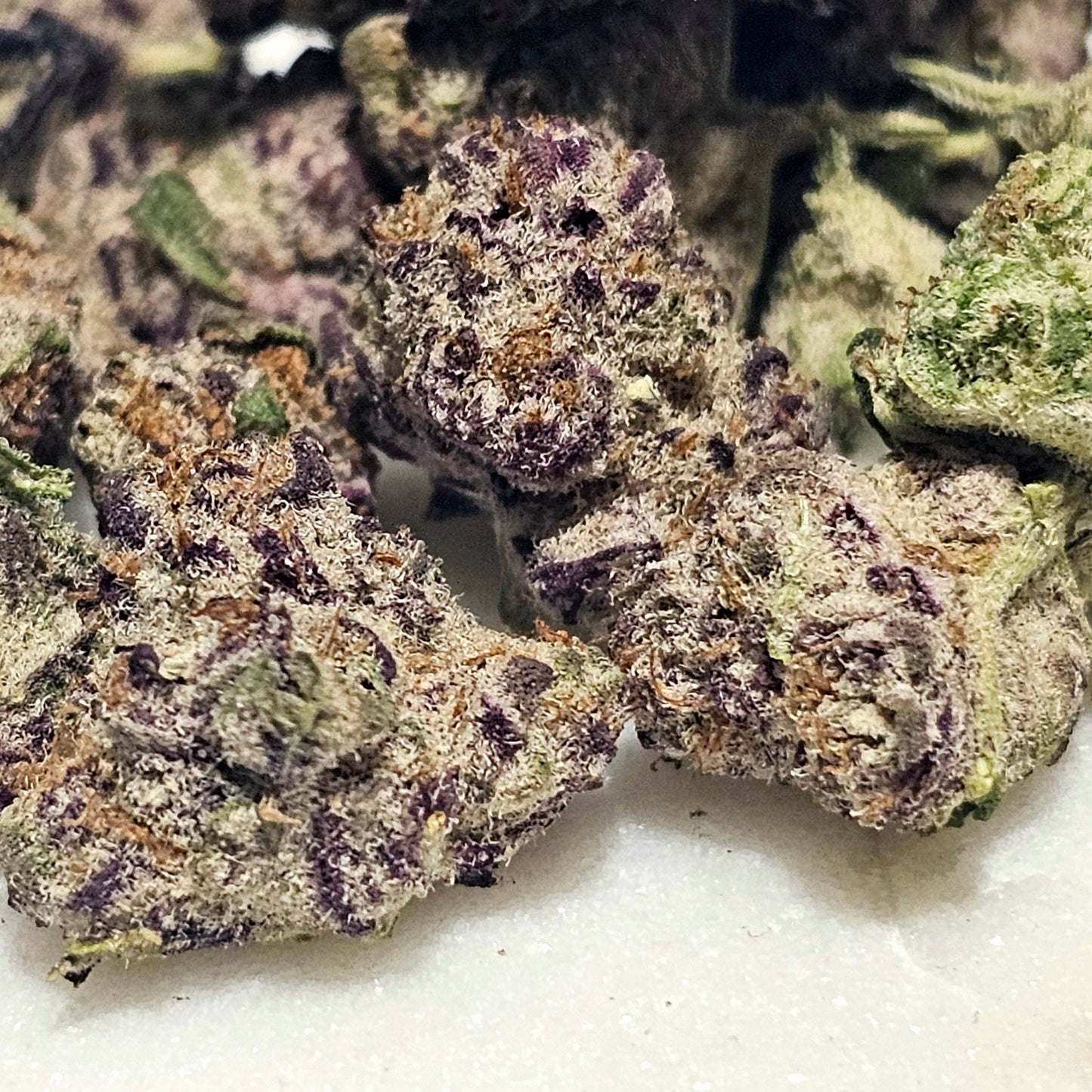 Runtz Punch 31% THCa SMALLS