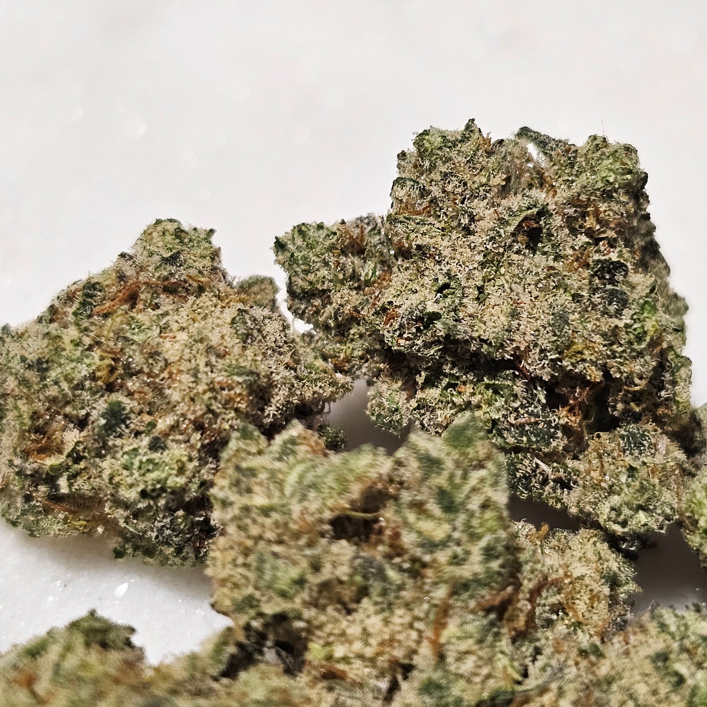 Blackberry Moonshine 31% THCa Mediums