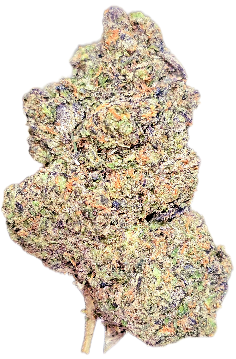 Choco Latto 35% Thca