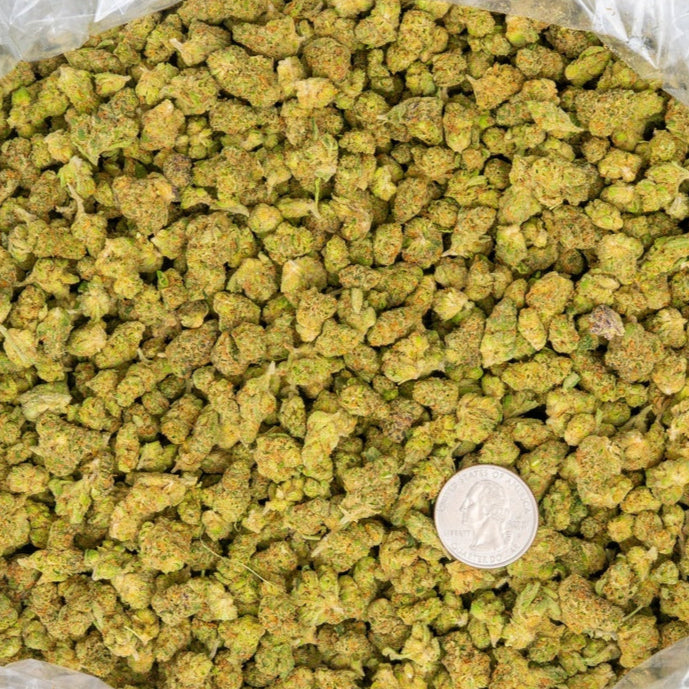 top shelf strain red highlights , nice trim mixed bud size discount pounds