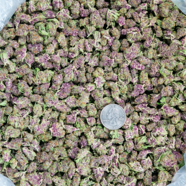 True Exotic Mix & Match LB Smalls