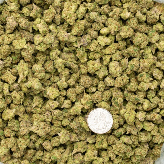 Candy Glue 33% Bulk