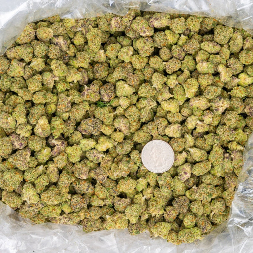 exotic strain orange highlights , nice trim small bud size cheap lbs