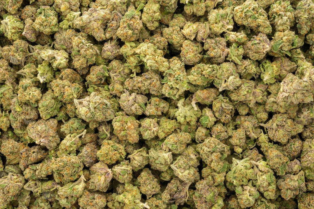 Choco Latto SMALLS 35% Thca