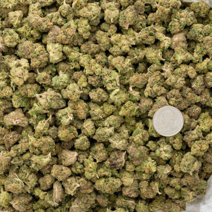 Choco Latto SMALLS 35% Thca