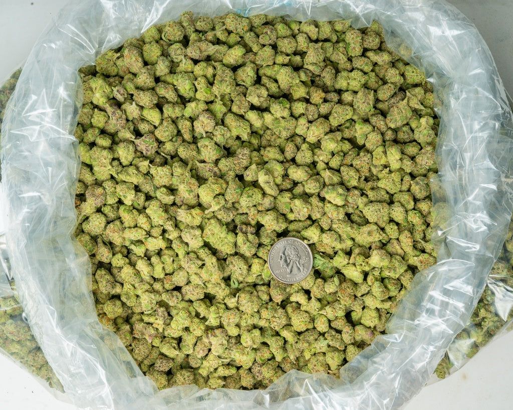 Forbidden Runtz Smalls 34% Thca