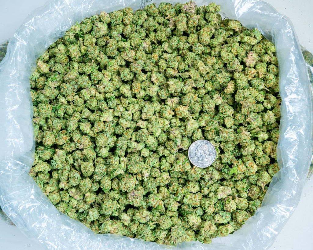 Jack Ramsey Smalls 30% Bulk
