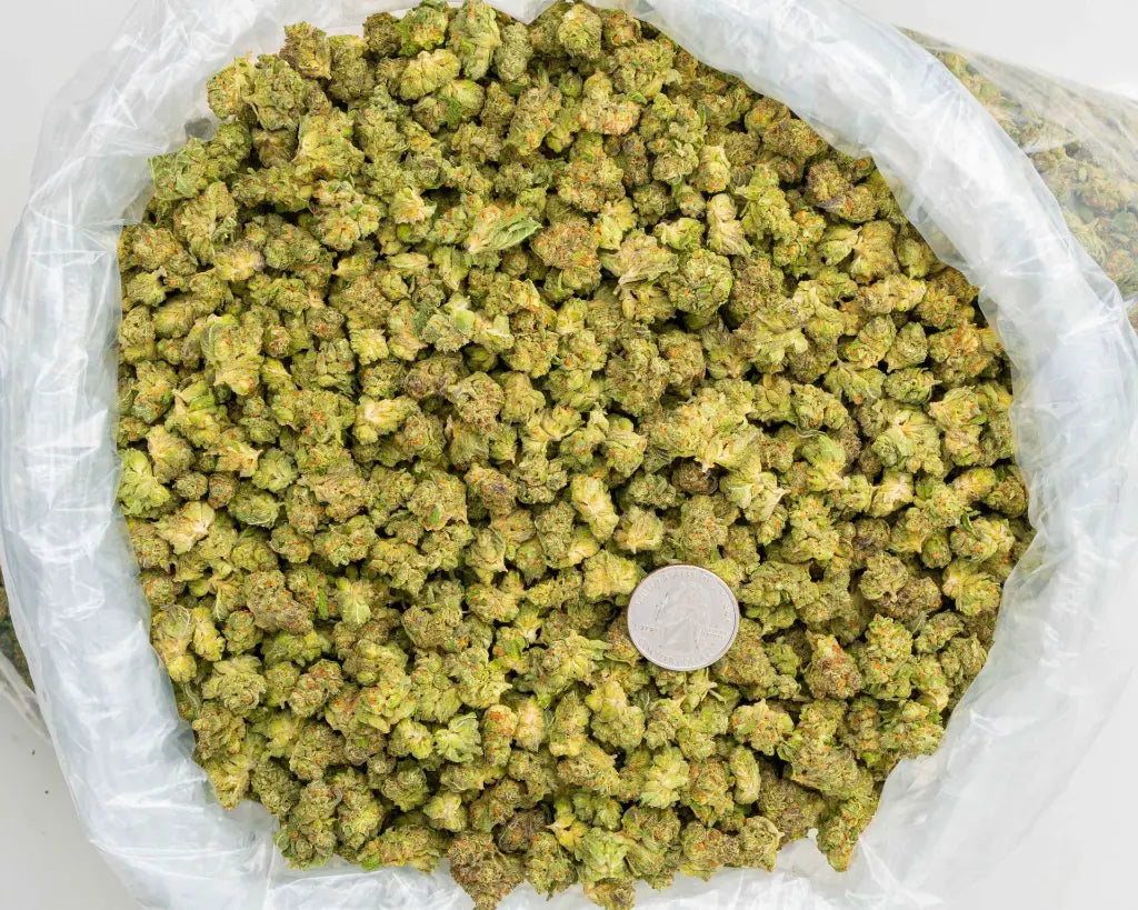 Jellie Cake 33% Bulk Smalls