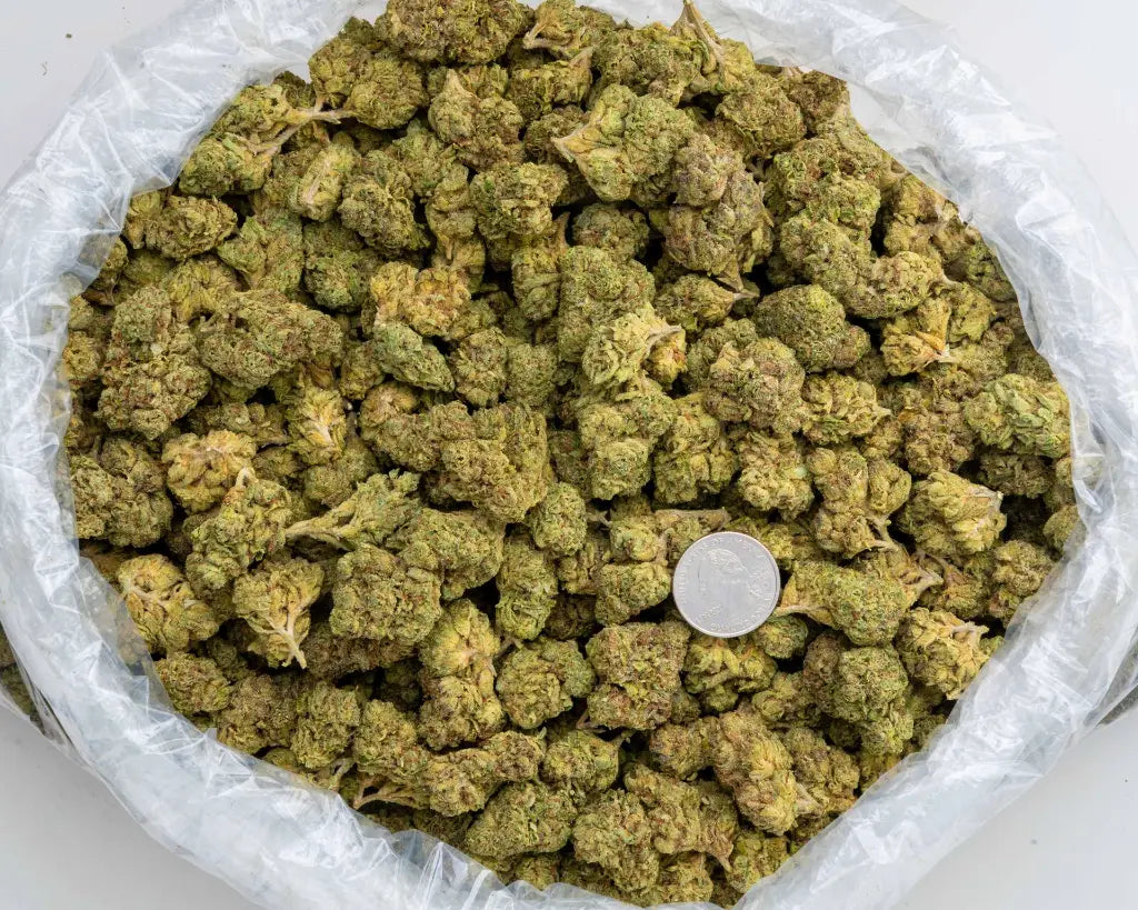 Nimbus Snacks 32% Thca Bulk