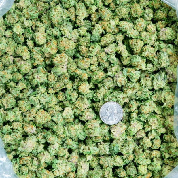 Orange Creamcicle 28% THCa Smalls Bulk