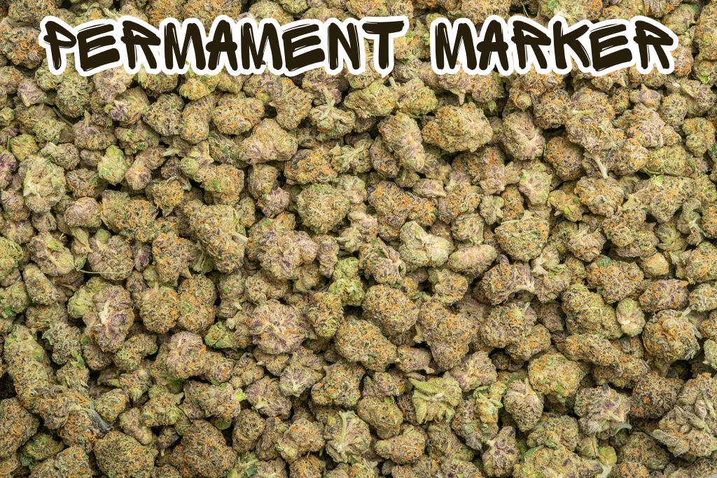 True Exotic Mix & Match LB Smalls
