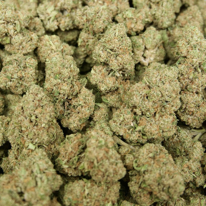 Pure Kush 28% Thca