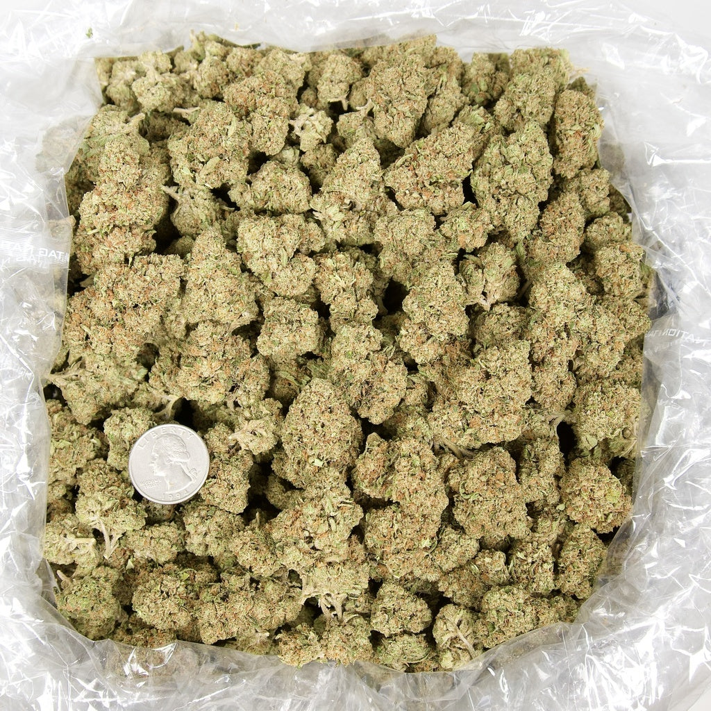 Pure Kush 28% Thca