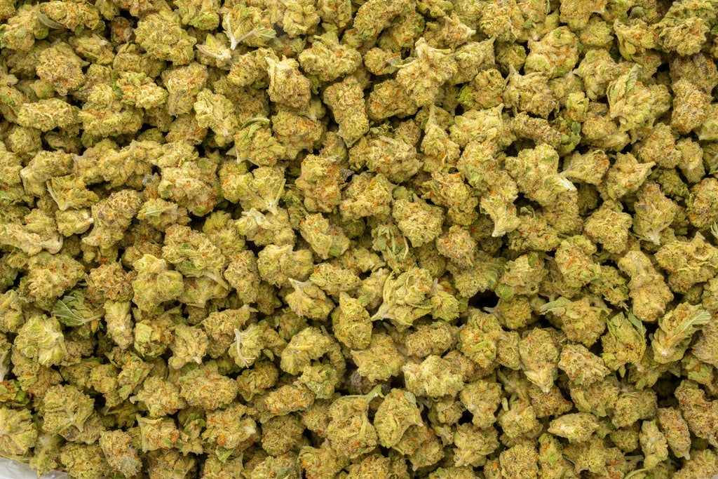 Sherb Scotty 28% Thca SMALLS