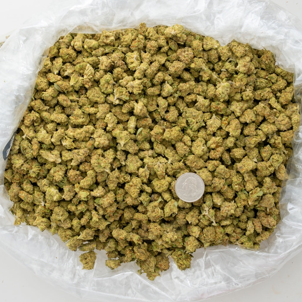Sherb Scotty 28% Thca SMALLS