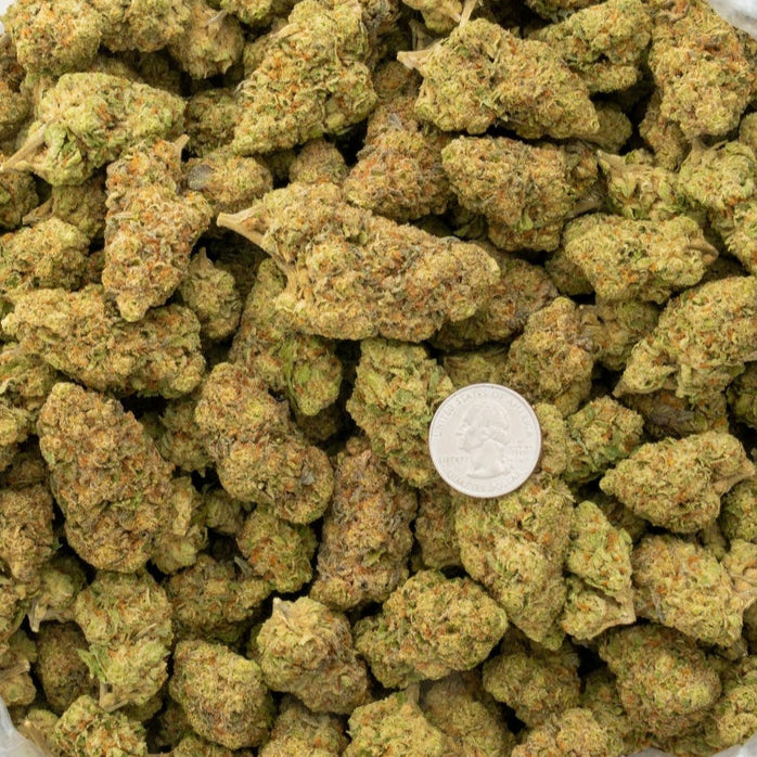 Sherb Scotty 28% Thca