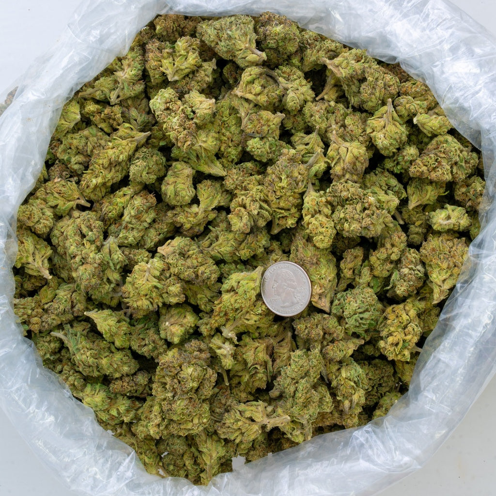 Slurty 32% Bulk
