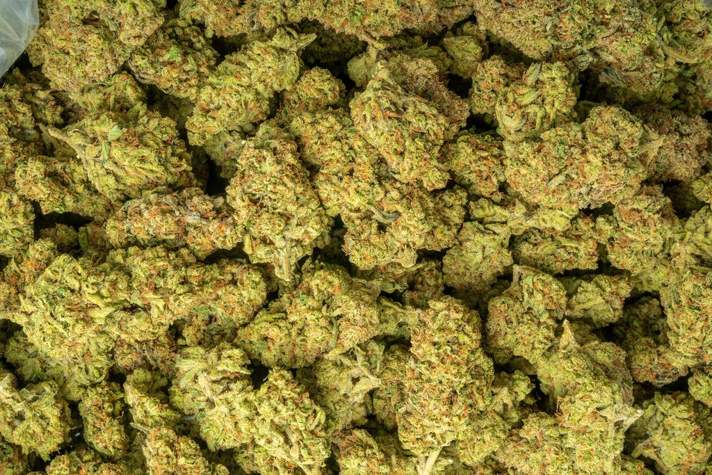 Alaskan Thunder Fuck 29% Thca