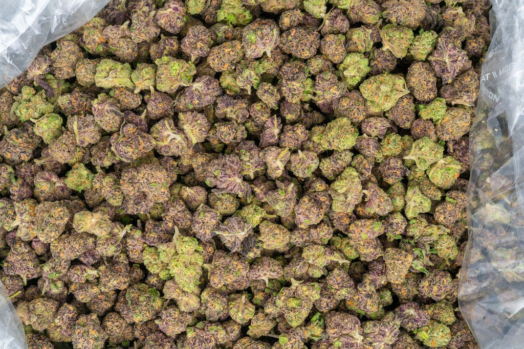 online cheap distro exotic discount thca hemp exotic flower buy lbs online fast shipping cheap wholesale discount pricing online