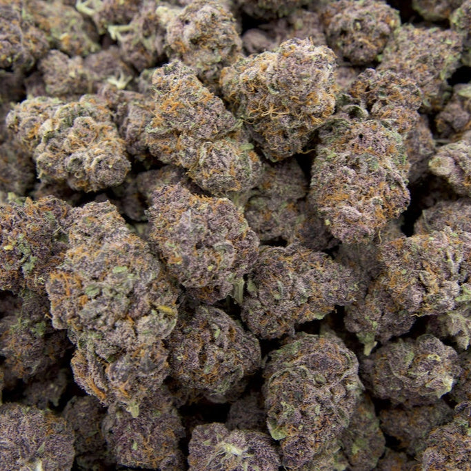 Tropicana Cherry 34% THCa