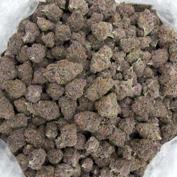 Tropicana Cherry 34% THCa