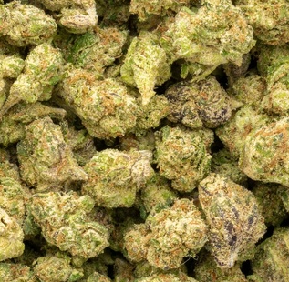Candy Glue 33% Bulk