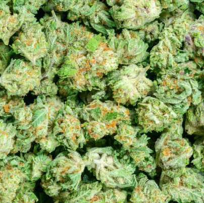 Orange Creamcicle 28% THCa Smalls Bulk
