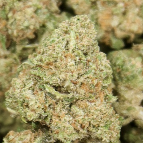 Pure Kush 28% Thca