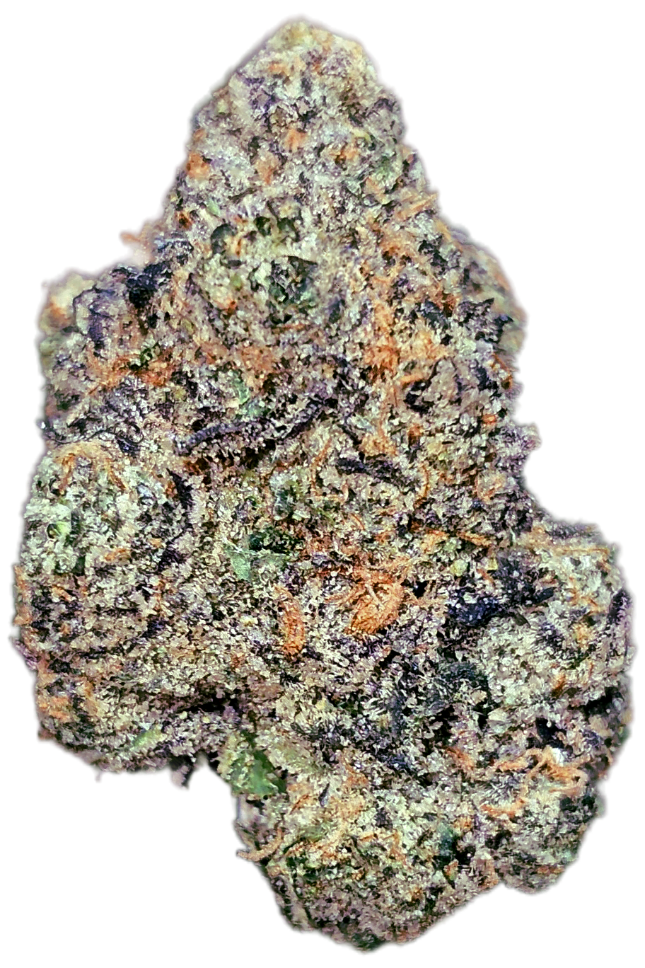 Super G 34% Thca
