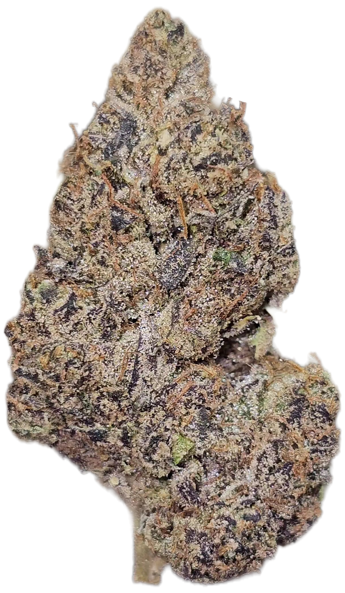 Blue Cheese 35% THCa