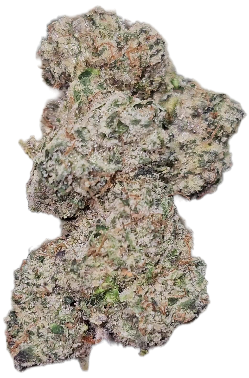 Bacio Gelato 36% Thca