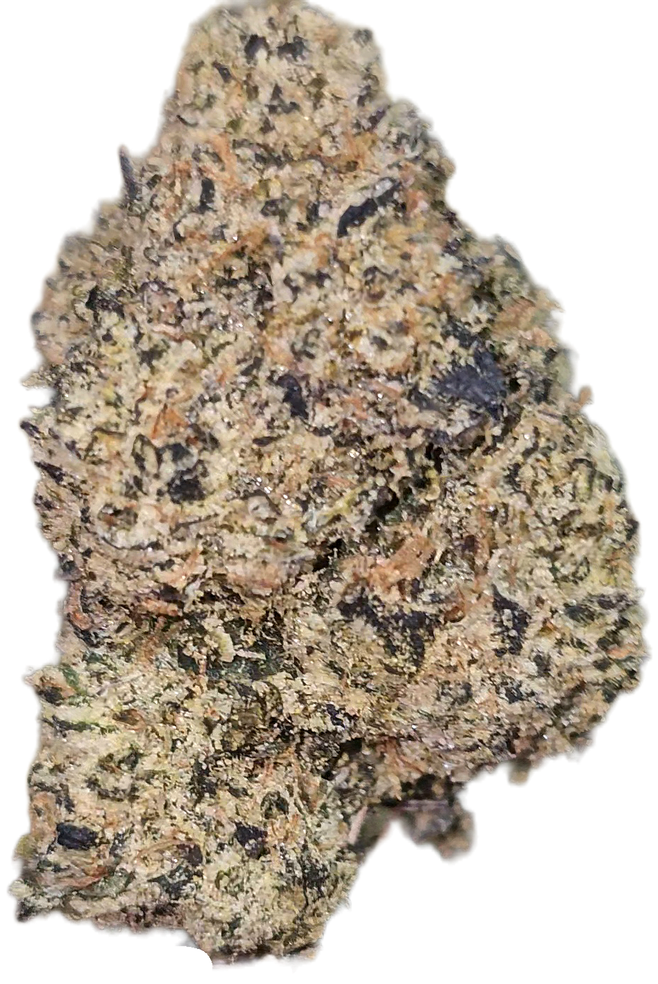 Walrus Kush 35% Thca