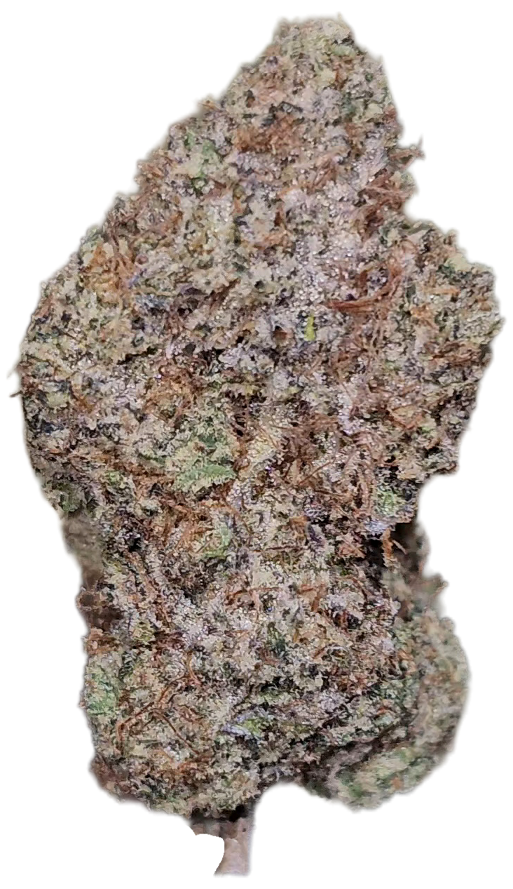 Gastro Pop 35% THCa BULK