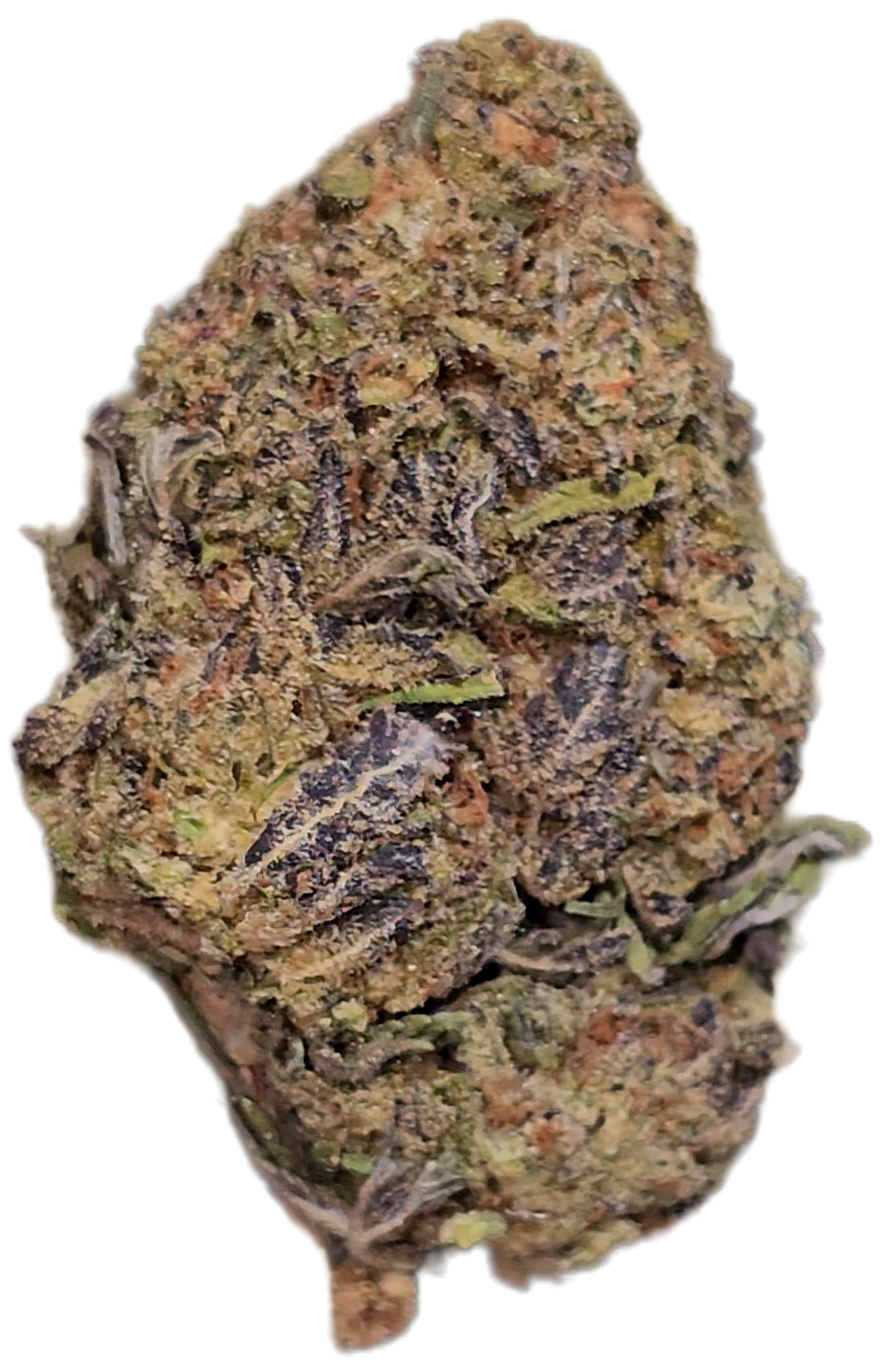 Chocolope 31% Thca