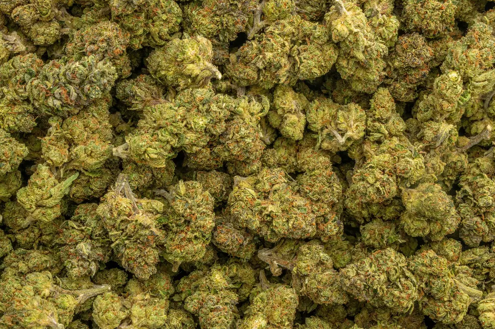 Runtz Punch 31% THCa