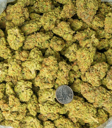 Alaskan Thunder Fuck 29% Thca