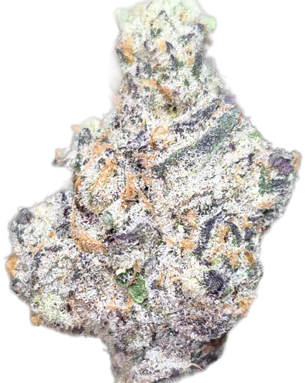 Collection image for: Bulk | Wholesale