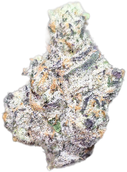 Collection image for: Bulk | Wholesale