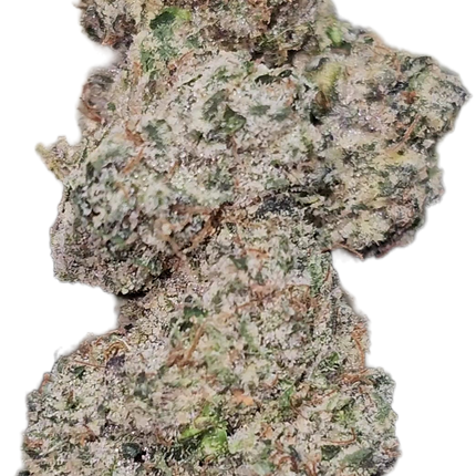 Collection image for: Ignite