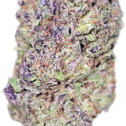 Collection image for: BULK Budget Tier