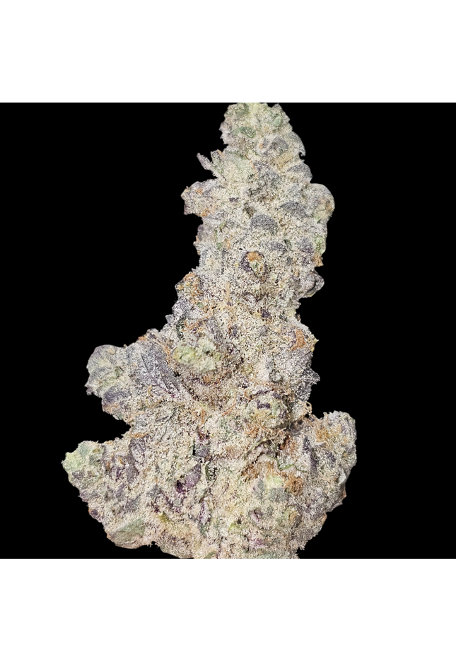 Neon Lights 33% Thca