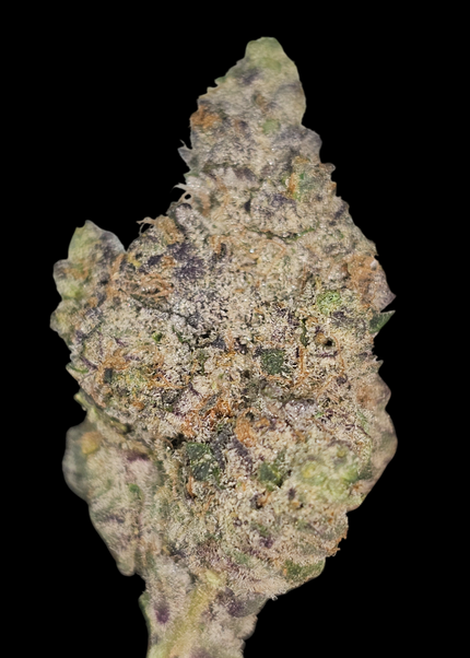 Neon Lights 33% Thca BULK