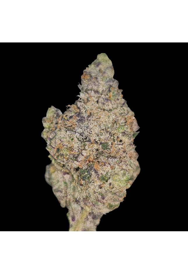 Neon Lights 33% Thca