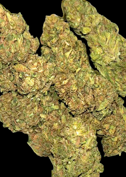 Gary Payton 24% Thca