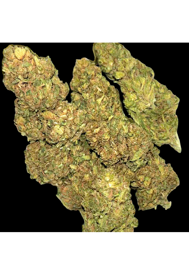 Gary Payton 24% Thca