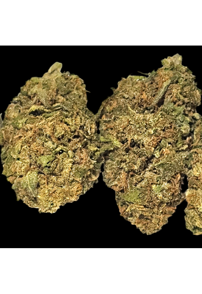 Mochi Gelato 26% Thca