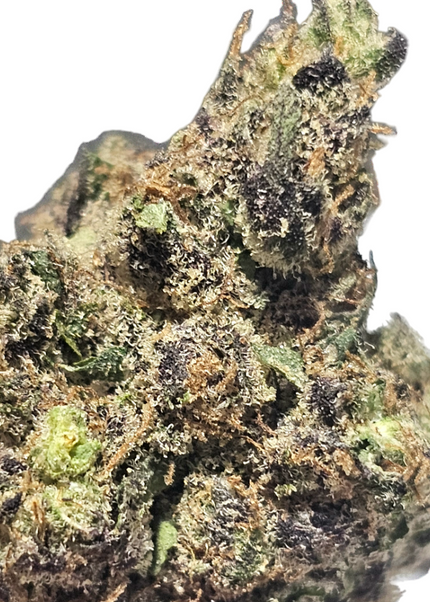 Mardi Gras Mambo OG 34% THCa